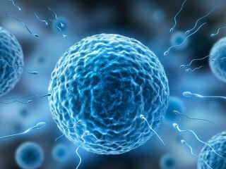 Imagem principal do artigo Estudo aponta que a microgravidade pode afetar a reprodução humana. Descubra como isso acontece!